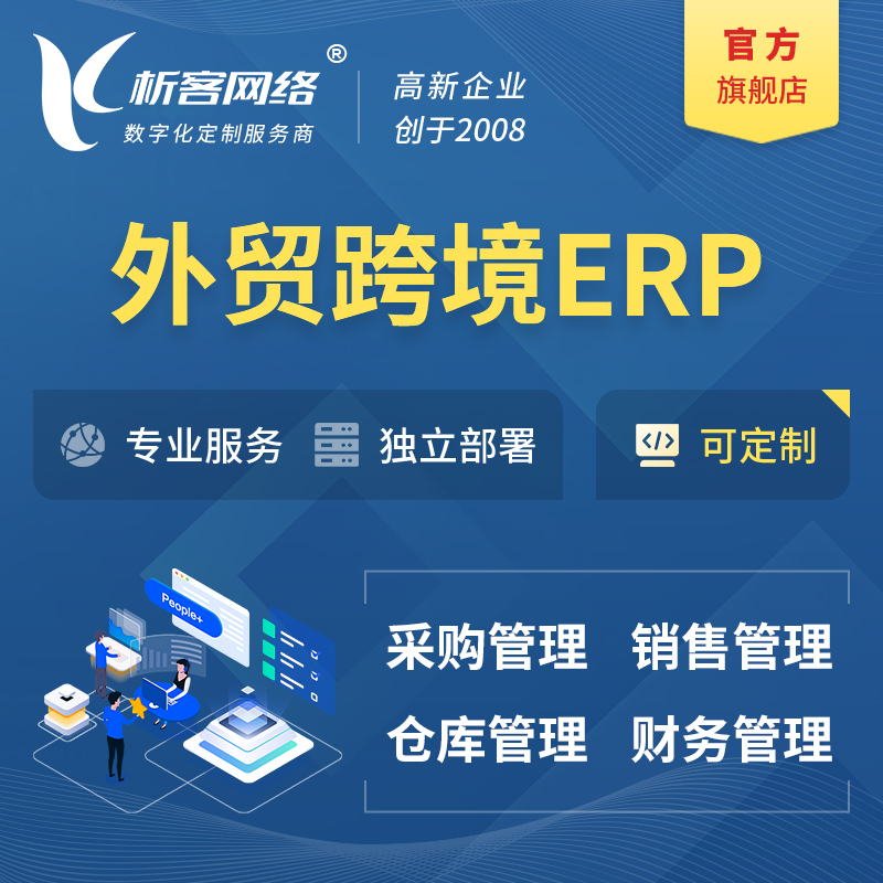 宣城外贸跨境ERP软件生产海外仓ERP管理系统